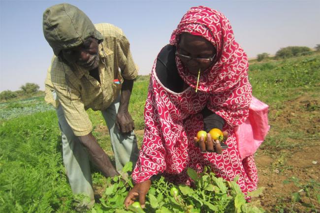  Mauritania aims to boost food production through new UN agency agreement