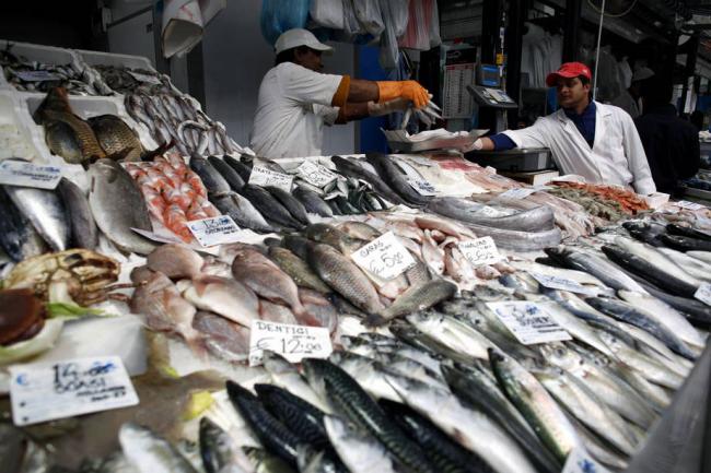 Guidelines on keeping illegally caught fish from global supply chains near â€˜finish lineâ€™ â€“ UN agency
