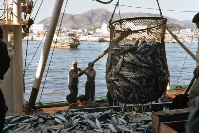 Countries signed to UN-brokered illegal fishing treaty meet for first time 