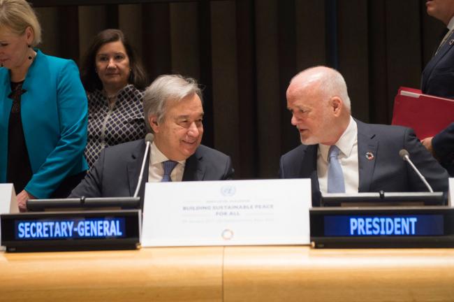 Responses to global ills must integrate peace and sustainable development, UN Member States told