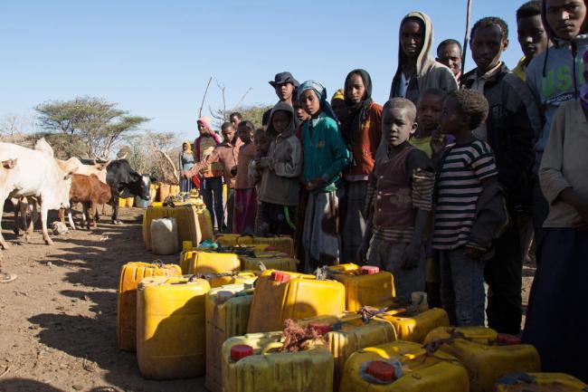 As new drought hits Ethiopia, UN urges support for Government's 'remarkable' efforts