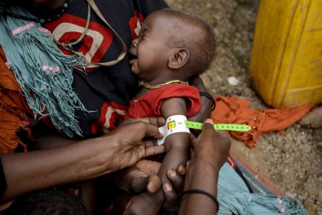 Tackling hunger crises in South Sudan, Somalia, Nigeria and Yemen requires $4.4 billion â€“ UN