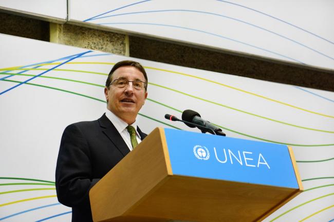 General Assembly confirms appointment of Achim Steiner as new UN development chief