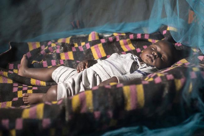 Ghana, Kenya and Malawi to pilot malaria vaccine trial â€“ UN