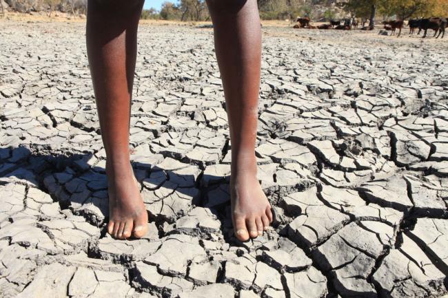 'Nothing can grow without water,' warns UNICEF, as 600 million children could face extreme shortage