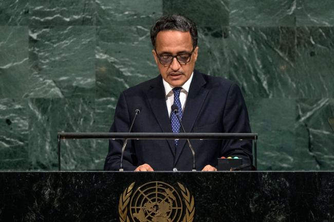 Mauritanian minister highlights countryâ€™s successful efforts to combat terrorism