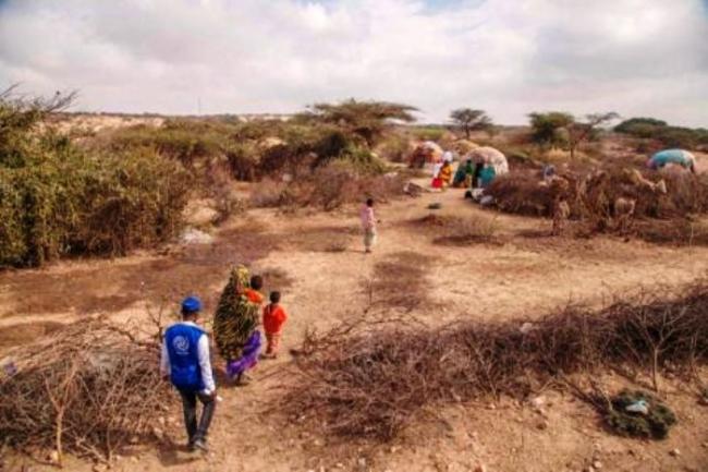 IOM launches USD 24.6 million drought appeal for Somalia