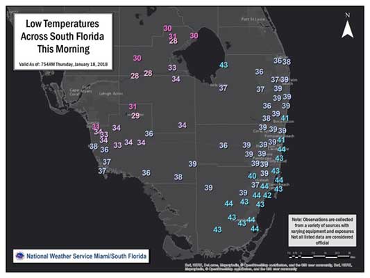 Florida Tampa Bay brace for coldest day in eight years