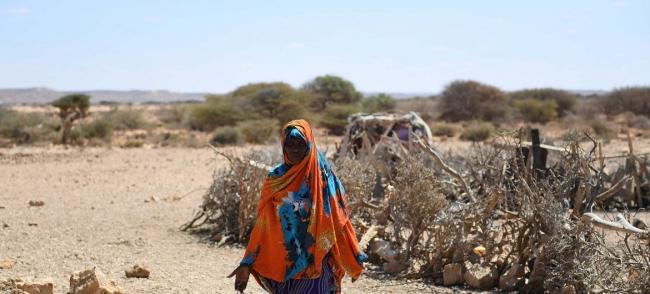 â€˜We are not out of the woods yetâ€™ on drought relief efforts, warns top UN aid official in Somalia