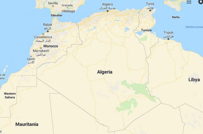 Military plane crashes in Algeria, many casualties feared