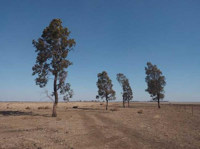 Entire New South Wales now drought affected: Government