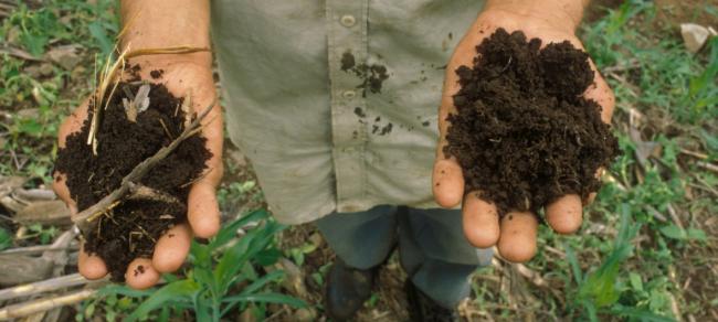 To beat hunger and combat climate change, world must â€˜scale-upâ€™ soil health â€“ UN