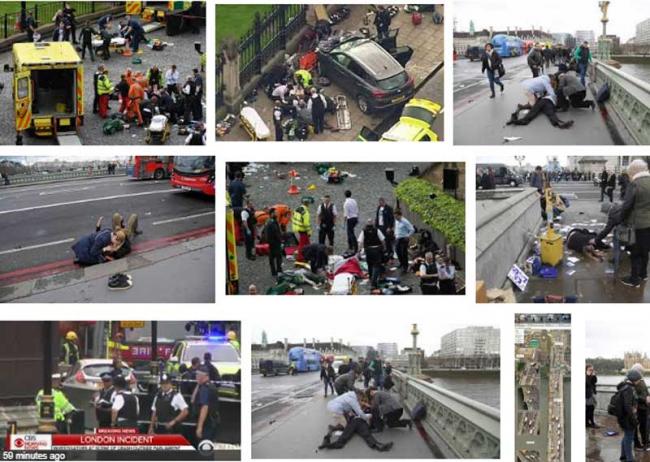 Car crashes outside Parliament in London, man arrested over terrorism suspicion