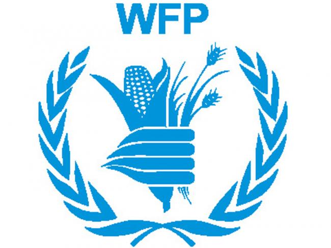 Truck carrying WFP food hit in Yemen's Hodeidah Governatorate