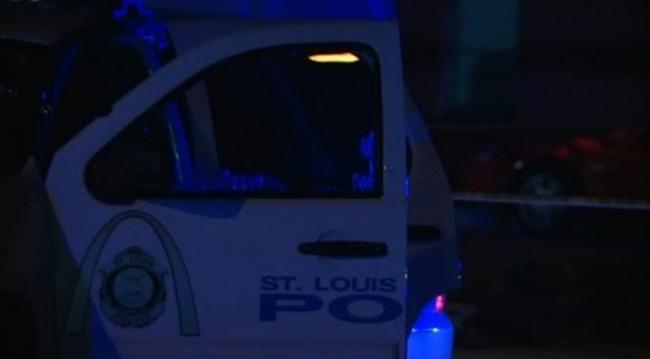 USA: Three killed in separate shootings in St Louis
