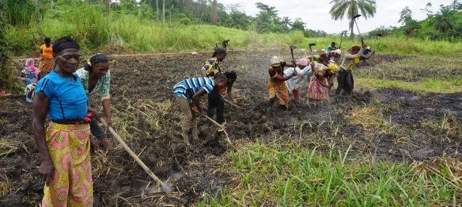 Congo Prospers from Environmental Protection