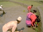 Over 14,000 farmers in rural Nepal to benefit from new UN project