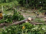 Haiti: UN agricultural development fund supports hurricane-affected farmers with $11 million