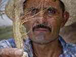 Central America: drought, resulting crop losses threaten food security of two million people, UN warns