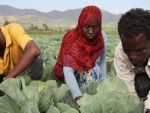 Benefits of rural migration effect often overlooked, new UN report suggests