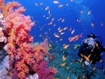 Coral reefs canâ€™t wait for world to take action, urges UN, as Biodiversity Conference gets underway