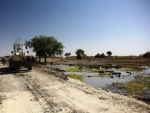 South Sudan: Rebuilt bridge in Upper Nile helping local communities, improving aid delivery