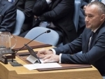 Restore hope that peace will come to the Middle East, UN negotiator urges Security Council