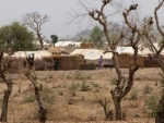 Africaâ€™s Lake Chad Basin: Over $2.1 billion pledged, to provide comprehensive crisis response