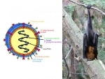 Canadian scientists show great concern about Nipah virus outbreak in India