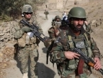 Afghanistan: At least 28 militants killed in anti-terrorism drive