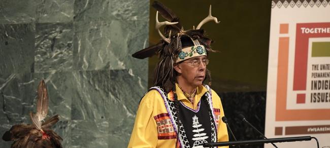 Protect indigenous peopleâ€™s land rights and the whole world will benefit, UN forum declares