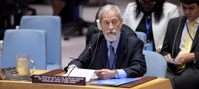 Guinea-Bissau: Upcoming elections vital to prevent â€˜relapseâ€™ into instability, says UN envoy