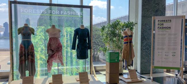 Dress the world in wood, UN says in its â€˜Forests for Fashionâ€™ initiative