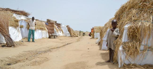 Lake Chad Basin: Areas reclaimed from Boko Haram must be stabilized, Security Council told