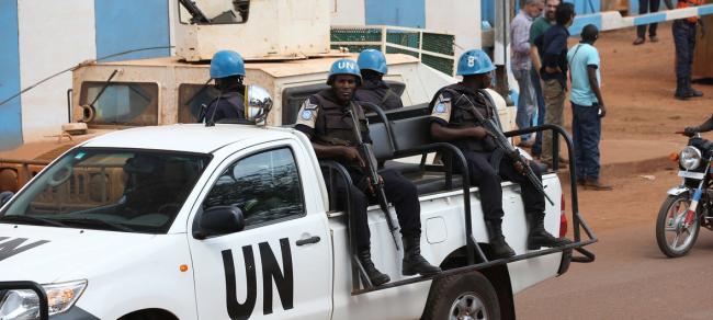 Central Africa: Security Council concerned by 'grave security situation', calls for better agency cooperation