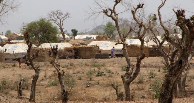 Africaâ€™s Lake Chad Basin: Over $2.1 billion pledged, to provide comprehensive crisis response
