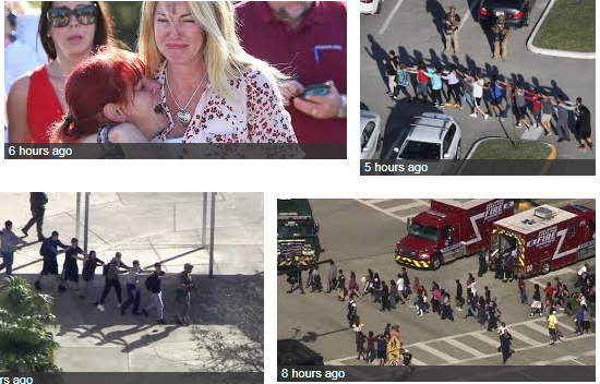Florida school shooting kills 17, suspect taken into custody 