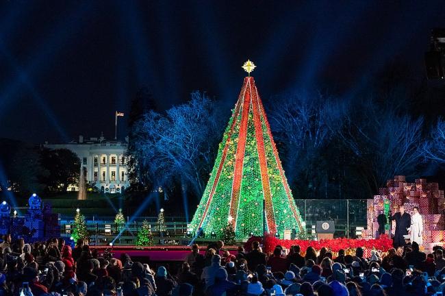 US: Man climbs National Christmas Tree 