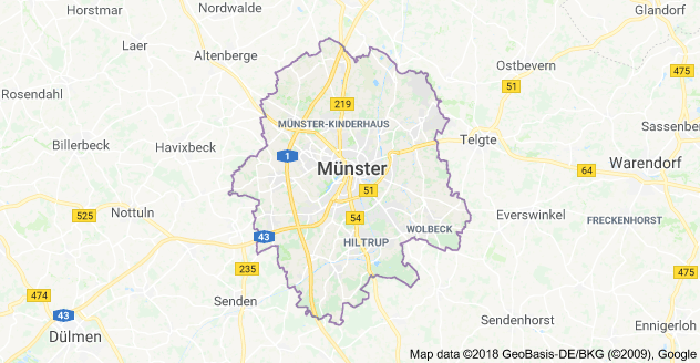 Germany: Car drives into crowd in Munster city, several killed