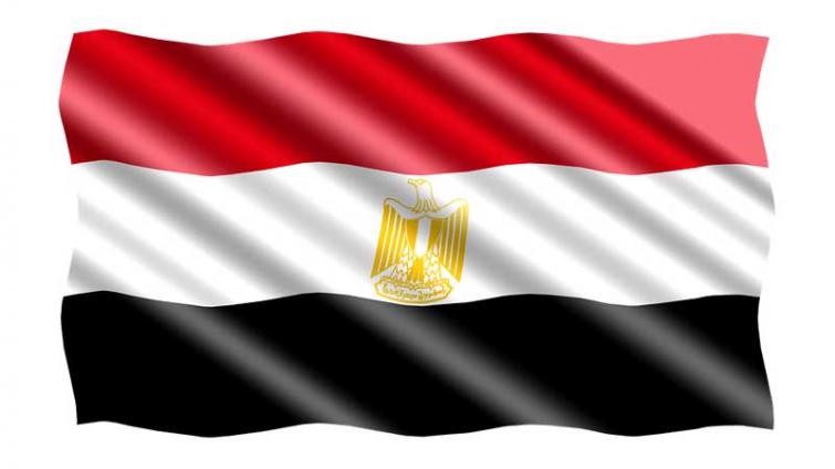 Egypt sends condolences to Russia over deadly plane accident