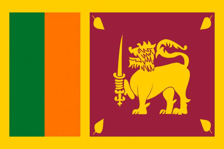 Sri Lanka blocks social media temporarily to after attacks on mosques