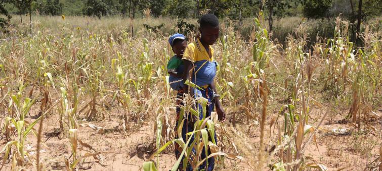 UN boosts humanitarian appeal to help tackle Zimbabweâ€™s â€˜worst-everâ€™ hunger crisis