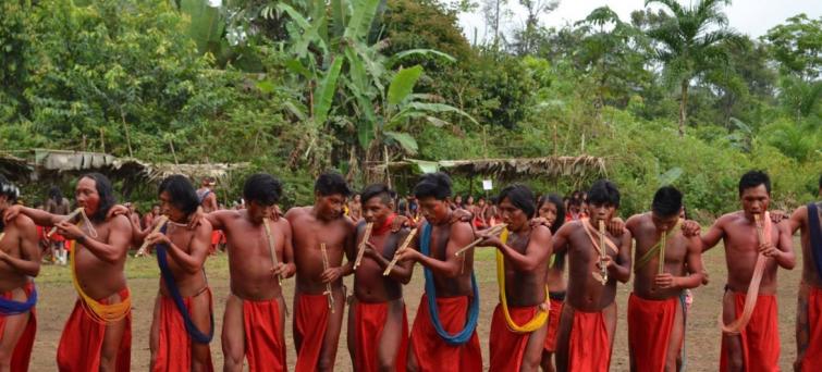Murder of Brazilian indigenous leader a â€˜worrying symptomâ€™ of land invasion