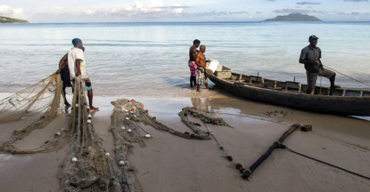 Sustainable fishing staying afloat in developed world, sinking in poorer regions