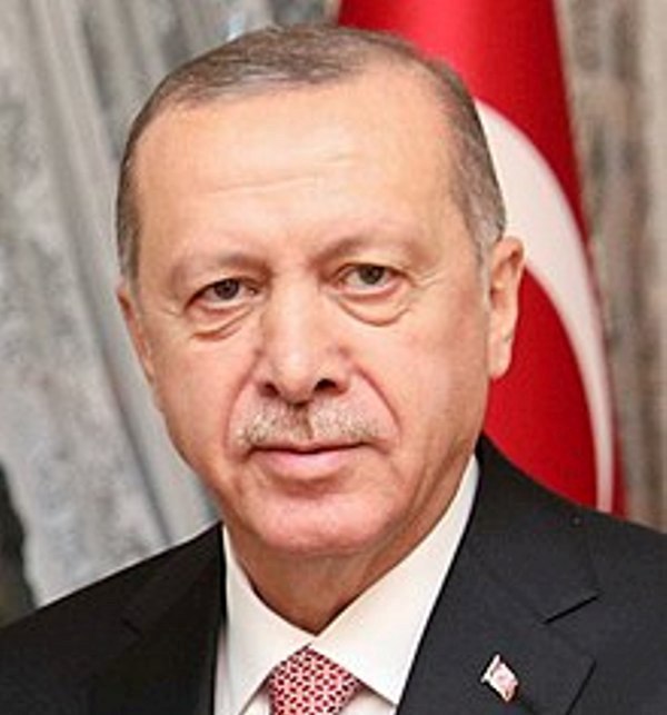 Turkish president says to fully implement agreements with Libya in 2020