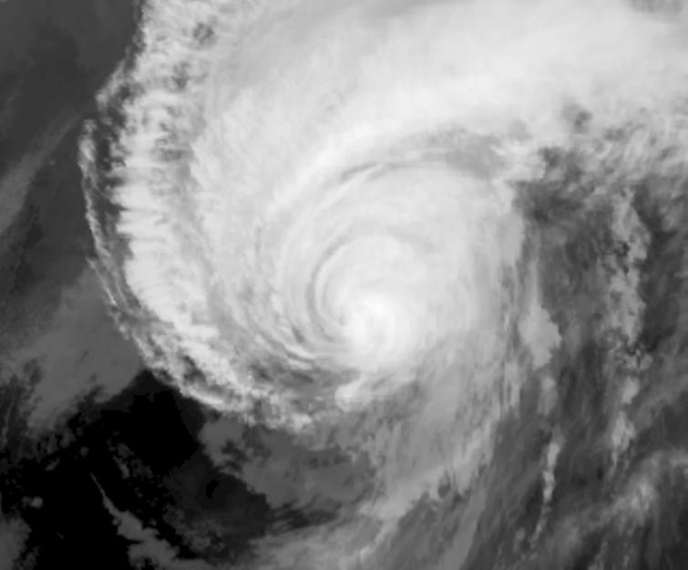 One dead, 50 injured as Typhoon Hagibis makes landfall on Japan's Izu Peninsula