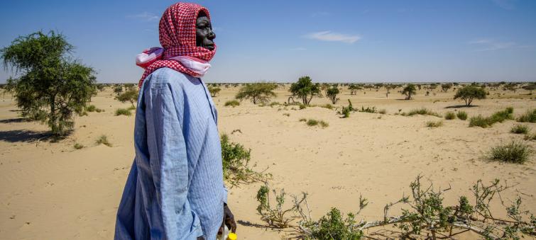 World food security increasingly at risk due to 'unprecedented' climate change impact, new UN report warns