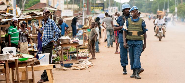 Security Council renews Central African Republic arms embargo 