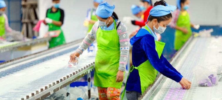 New UN report offers blueprint for greener, more resilient world of work