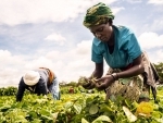 UN report sends ‘sobering message’ of deeply entrenched hunger globally